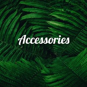 Women's Accessories